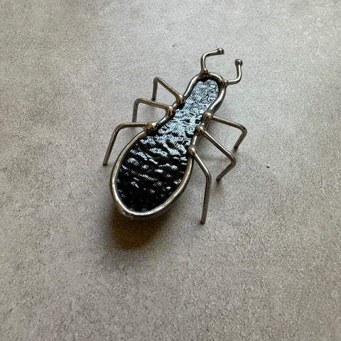 Adopt a Ant