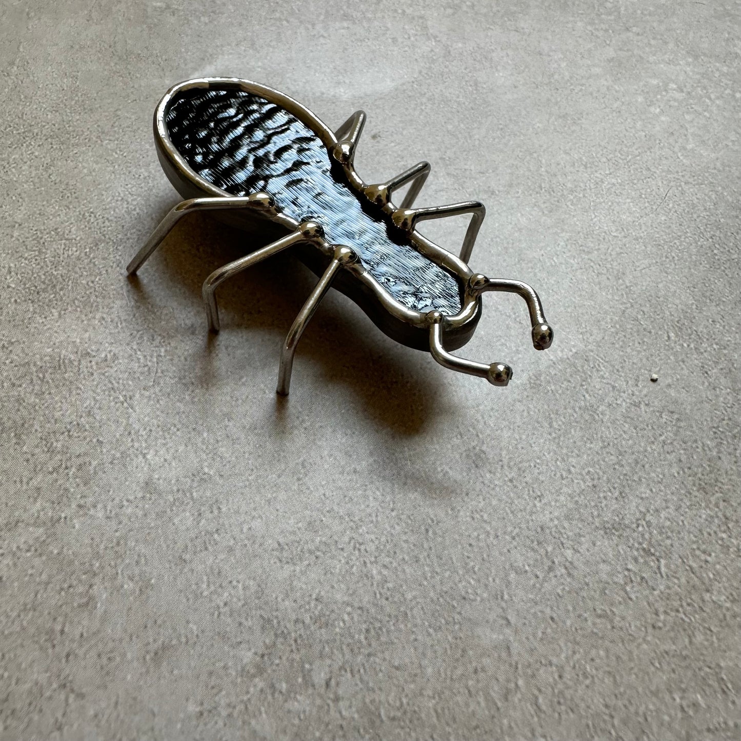 Adopt a Ant