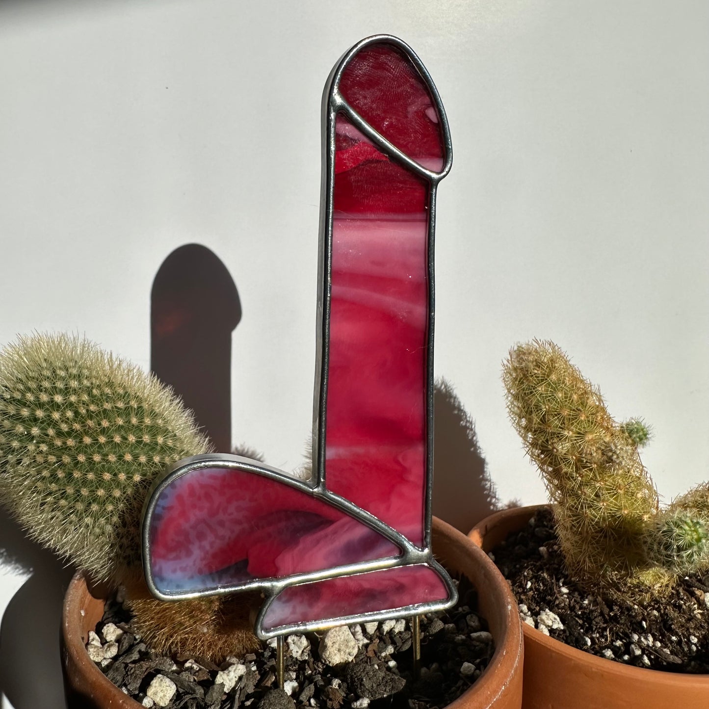 Dildo Planter Stake (Streaky Cranberry Pink)