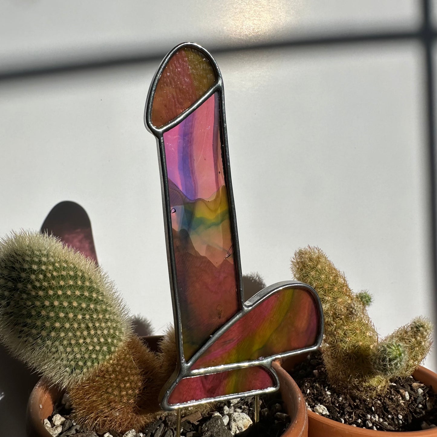 Dildo Planter Stake (Streaky Cranberry Pink, Royal Blue, Spring Green)