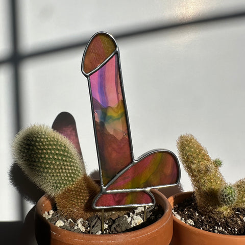 Dildo Planter Stake (Streaky Cranberry Pink, Royal Blue, Spring Green)