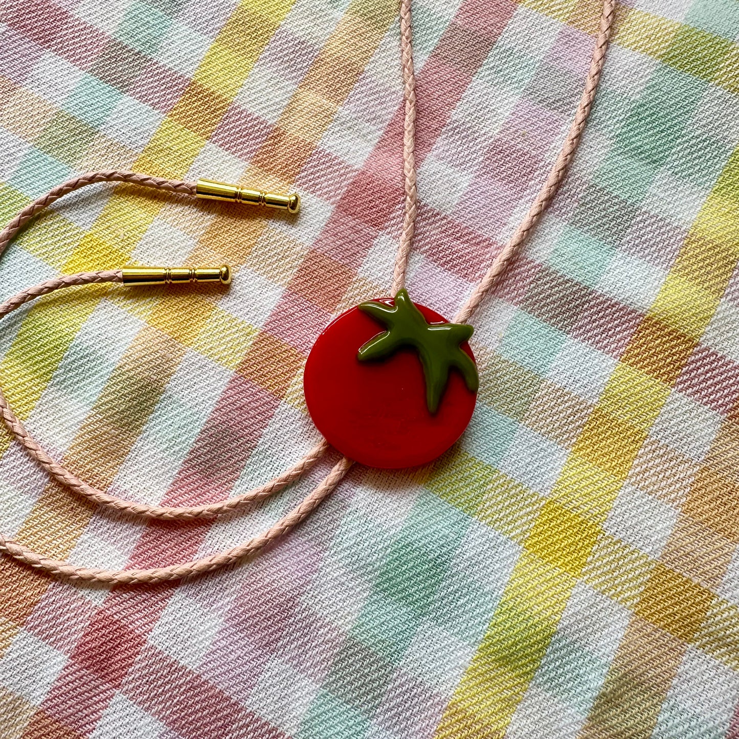 Large Red Tomato Bolo Tie w/ Pink Cord