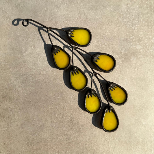 Yellow Pear